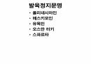 역사의 연구.PPT 84페이지