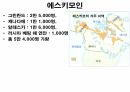 역사의 연구.PPT 86페이지