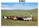 역사의 연구.PPT 91페이지
