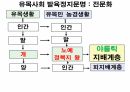 역사의 연구.PPT 97페이지