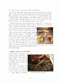 계룡산지역 유적답사 22페이지