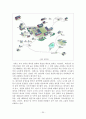 계룡산지역 유적답사 30페이지