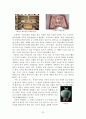 고창 변산 정읍 유적 답사자료 32페이지