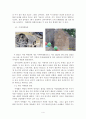 영주, 봉화지역 답사자료 4페이지