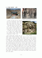 영주, 봉화지역 답사자료 16페이지