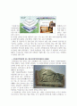 경주 동남산 지역 유적답사 32페이지