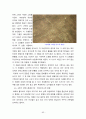 페루의 역사와 문화 7페이지