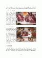 이탈리아 문화유적 2 18페이지