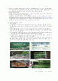 독일 일본 한국까지의 산림치유를 설명하고 산림치유인자에 대하여 논하시오. 3페이지