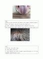 홍채, 얼굴, 혀,  피부, 두피 사진중  하나이상을 선택하여 4컷 이상을 촬영             하여 설명을 달아놓으시오 3페이지