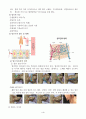마사지 사례연구 (마사지 사례  2종류) 4페이지