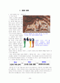 그리스 로마신화 1 40페이지