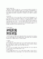 A++ 보장 아동간호학 실습 케이스스터디 - 폐렴 4페이지