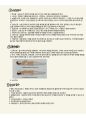 성인간호3신경계 구조와 기능 15페이지