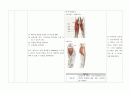 여성간호실습(산과병동 반영일지) 30페이지