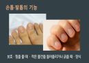 응급간호(손톱, 발톱 빠짐) 발표자료 3페이지