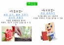 병동설계&주간계획표 17페이지