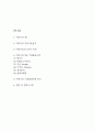 빅데이터 5가지 특징, 기업활용사례 (월마트,아멕스,구글,아마존,삼성전자,현대백화점) 미래발전방향 제시 2페이지
