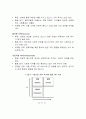 VIP 마케팅의 성공적인 전략 5페이지