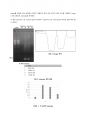 PCR 기반 Specific Human  DNA 증폭 및 검출  결과 보고서 4페이지