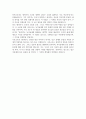 A+ 블라디미르 나보코프의 롤리타 독후감/서평 6페이지