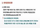 (A+자료 / 석사과정 / 청소년비행이론 등) 지역사회와 청소년 비행 ppt발표 9페이지