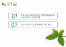 여행사경영론 과제_야쿠시마 여행계획표 13페이지