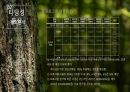 관광경제학 과제_향적산 치유의숲 타당성 분석 사례조사 17페이지