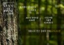 관광경제학 과제_향적산 치유의숲 타당성 분석 사례조사 29페이지