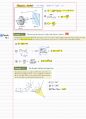 (영문)일반물리학 Physics 개념&연습문제 정리노트 92페이지