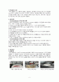 [단국대학교-중합공학실험2] Urea-formaldehyde Resin 결과레포트 (A+) 3페이지