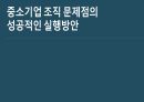 중소기업 조직문제점의 성공적 실행방안 1페이지