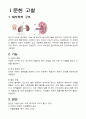 급성 신부전 2페이지