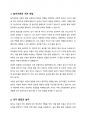 놀이이론의 현대적 관점이 주장하는 것을 비교 설명하시오 2페이지