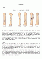 골절(정형외과) 간호사례연구case study-간호과정 2가지 레포트 실습점수 A+자료!!(골절 케이스스터디, 골절 컨퍼런스, 정형외과 실습 자료) 3페이지