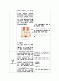 아동간호학 실습 요로감염 간호사정 특수 진단 검사 질환 고찰 CASE STUDY 고체온 간호진단 14페이지