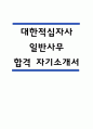 대한적십자사 자기소개서 – 대한적십자사 일반사무(사무직) 합격 자소서 (대한적십자사 자소서,자기소개서 예시) 1페이지