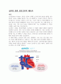 성인간호학 심부전 문헌고찰 및 간호진단 6개 1페이지