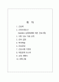 A+ 아동간호케이스(간호진단 2개) 2페이지