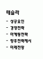 [테슬라 기업분석] 테슬라 성공요인과 경영전략 마케팅전략 분석 및 테슬라의 향후전략 제시와 미래전망 1페이지
