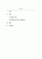 한류와세계문화_해외에서의 한류 마케팅전략 2페이지