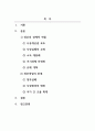 행정학_경제발전과 행정의 역할_행정의 공과(功過) 2페이지