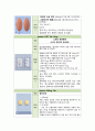 알코올성 간경병 케이스 스터디 A(체액과다, 식이조절 관련 간호과정) 15페이지