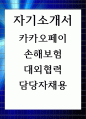 자기소개서 카카오페이손해보험 대외협력 담당자채용 1페이지