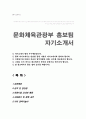 문화체육관광부 홍보팀 자기소개서 1페이지