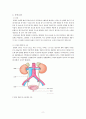 만성신부전케이스 / Chronic kidney disease / 성인케이스 / 진단4 과정2 중재25 4페이지
