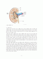 만성신부전케이스 / Chronic kidney disease / 성인케이스 / 진단4 과정2 중재25 5페이지