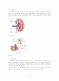 만성신부전케이스 / Chronic kidney disease / 성인케이스 / 진단4 과정2 중재25 6페이지