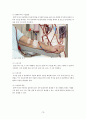 만성신부전케이스 / Chronic kidney disease / 성인케이스 / 진단4 과정2 중재25 12페이지