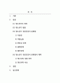 정신건강론_청소년기 정신건강의 문제점과 그 대책에 대해 서술해 주세요 2페이지